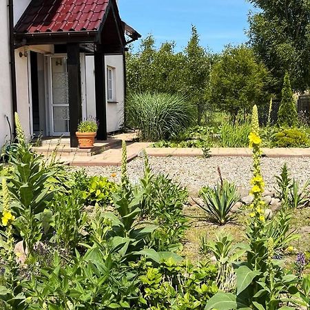 Pokoje Goscinne Neptunia Рушиново Екстериор снимка