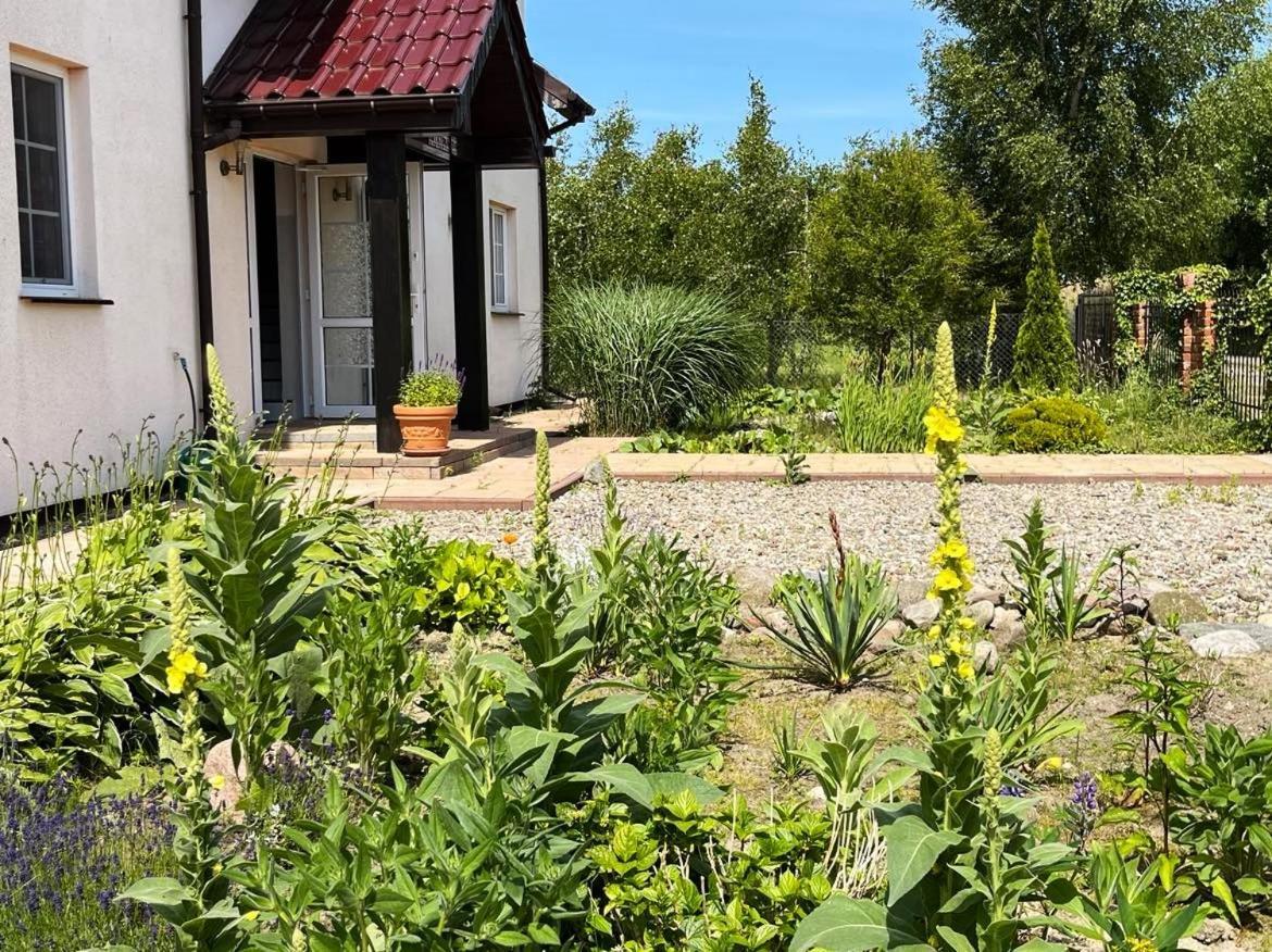 Pokoje Goscinne Neptunia Рушиново Екстериор снимка